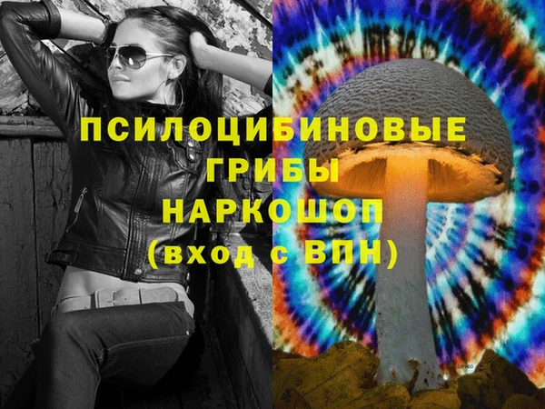 гашик Богородицк